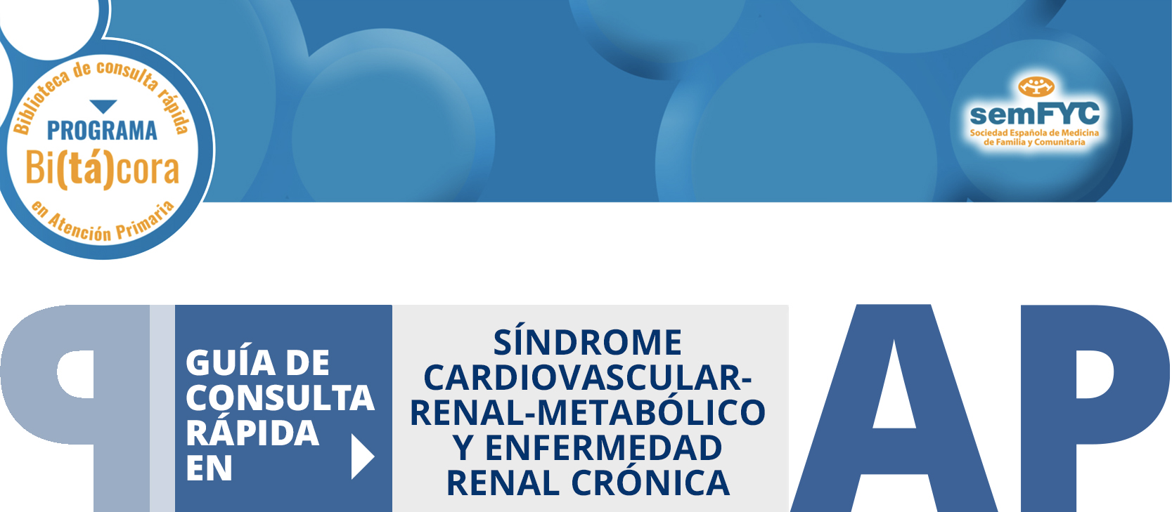 Programa Bi(tá)cora: Biblioteca de consulta rápida en Atención Primaria – Síndrome Cardiovascular-Renal-Metabólico y Enfermedad Renal Crónica 